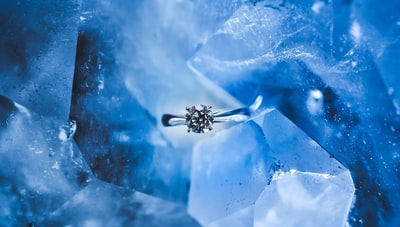 银环和清晰的宝石在冰
